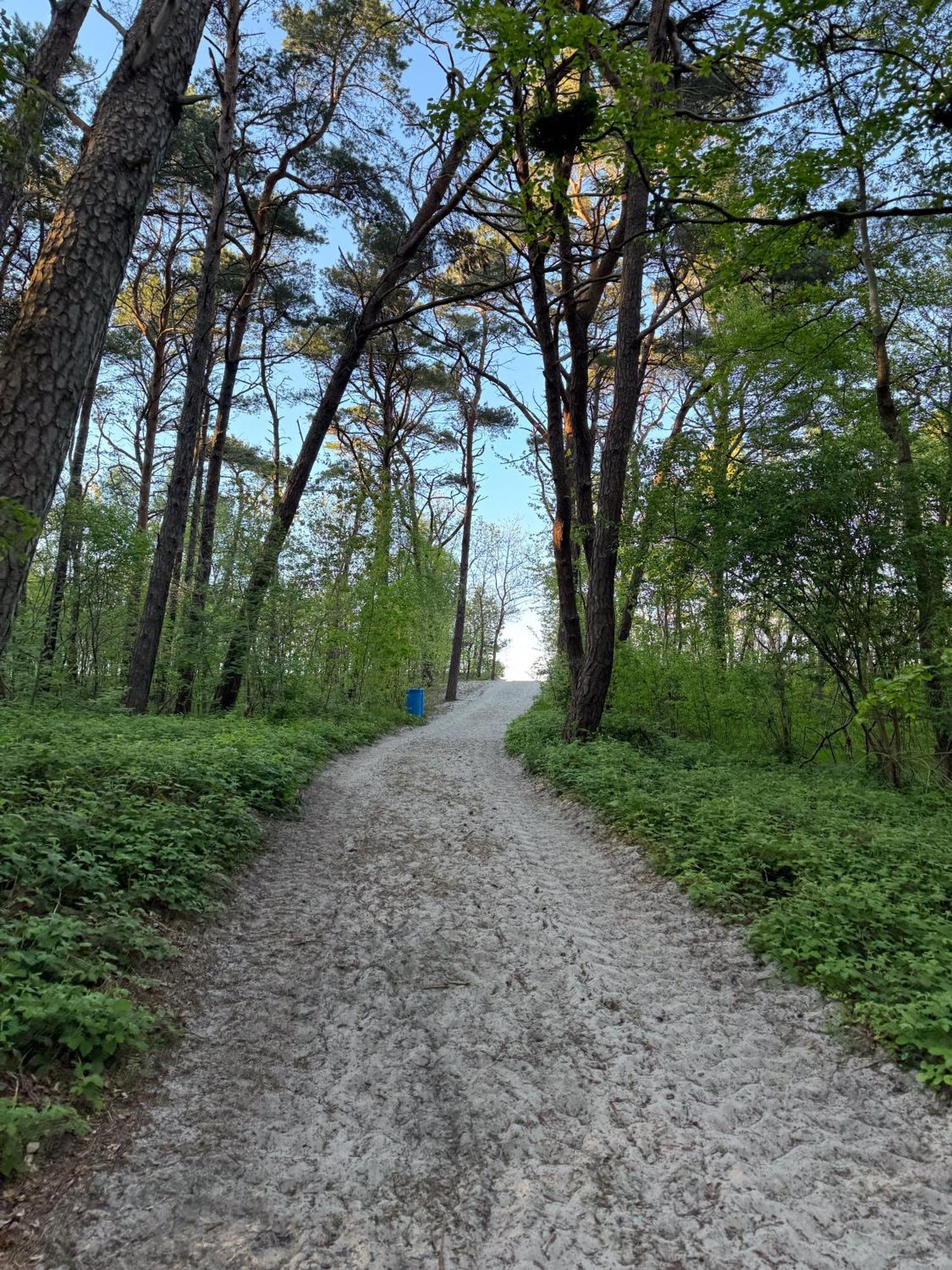 Polwysep Natura Tour Jastarnia Exteriör bild